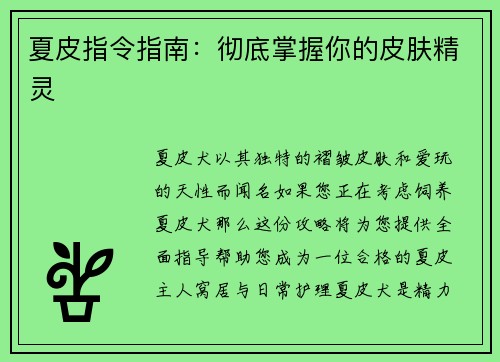 夏皮指令指南：彻底掌握你的皮肤精灵